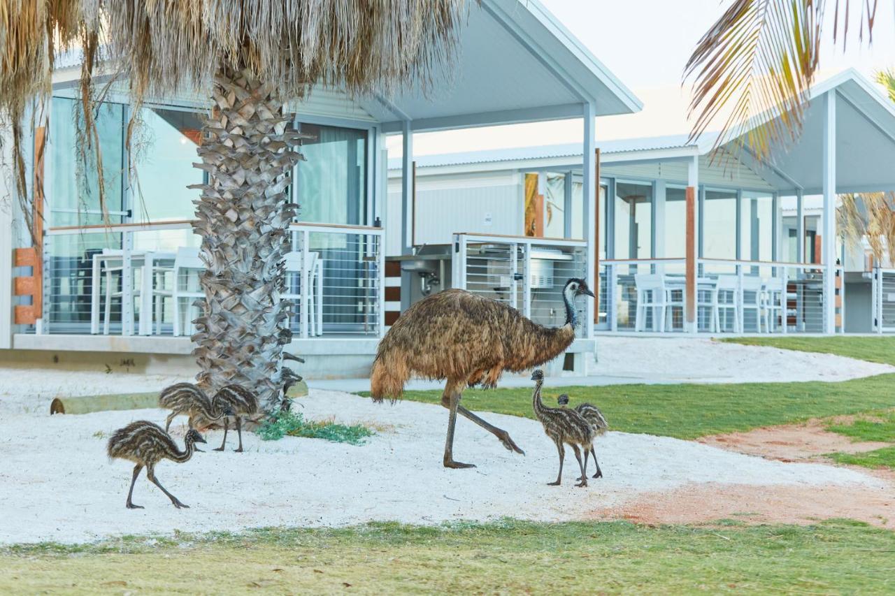 Rac Monkey Mia Dolphin Resort Eksteriør billede