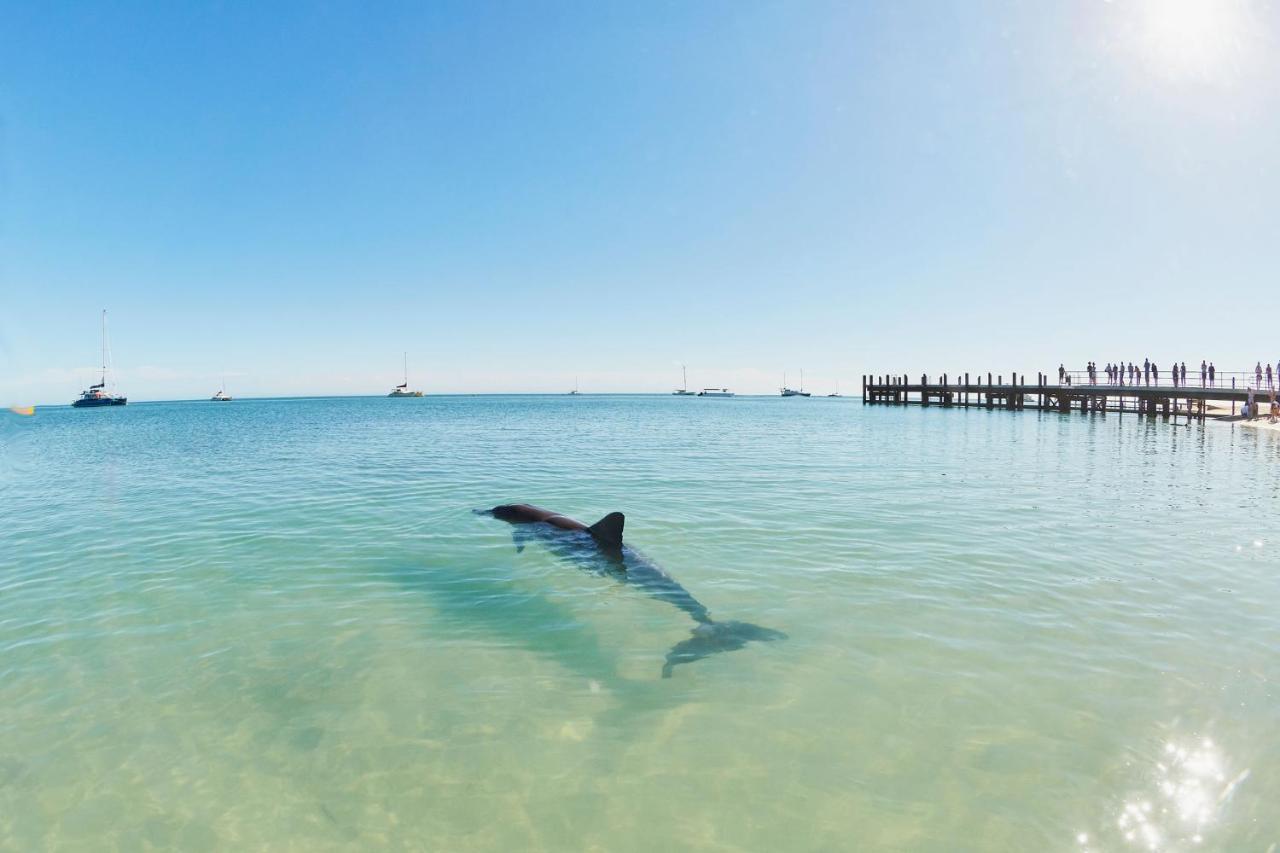 Rac Monkey Mia Dolphin Resort Eksteriør billede
