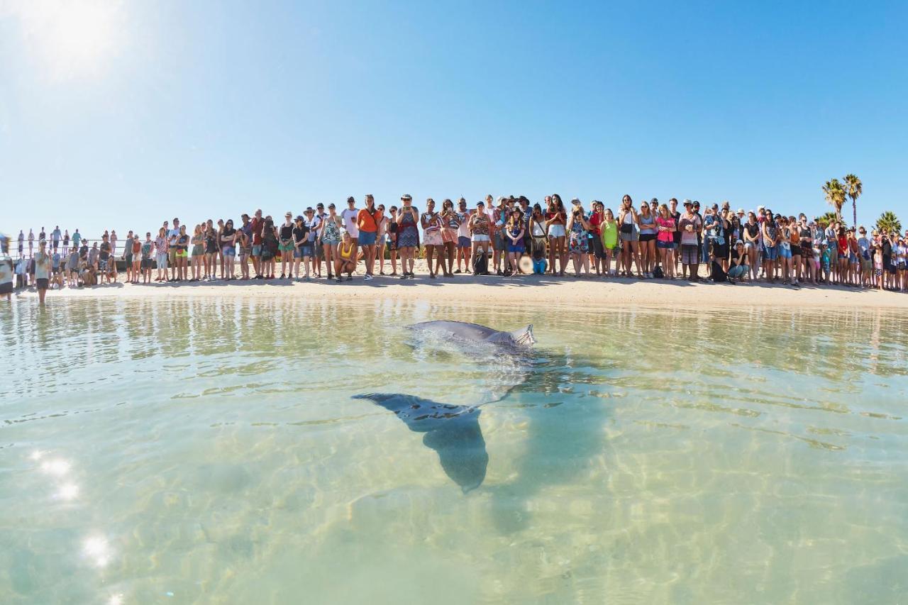 Rac Monkey Mia Dolphin Resort Eksteriør billede